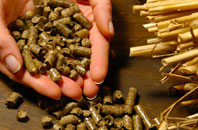 free Trims Green biomass boiler quotes